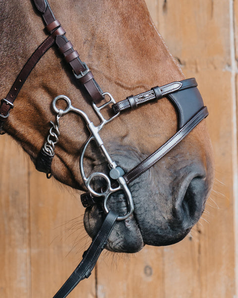 FagerOtto Hackamore Combination bit Short shank