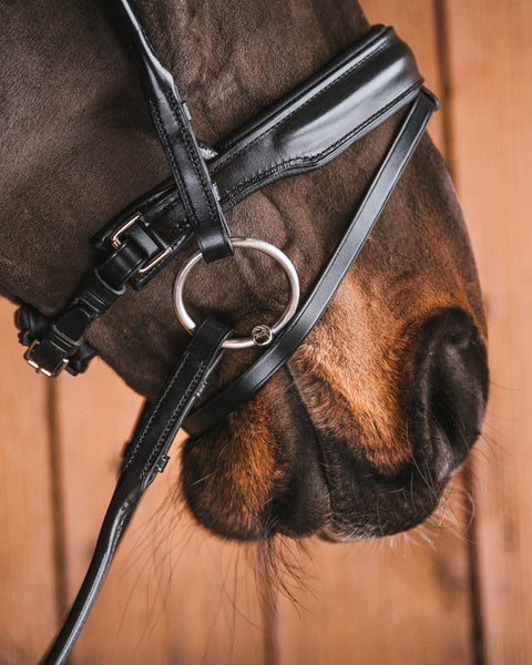 Fager Ludwig Sweet iron Bradoon Loose rings