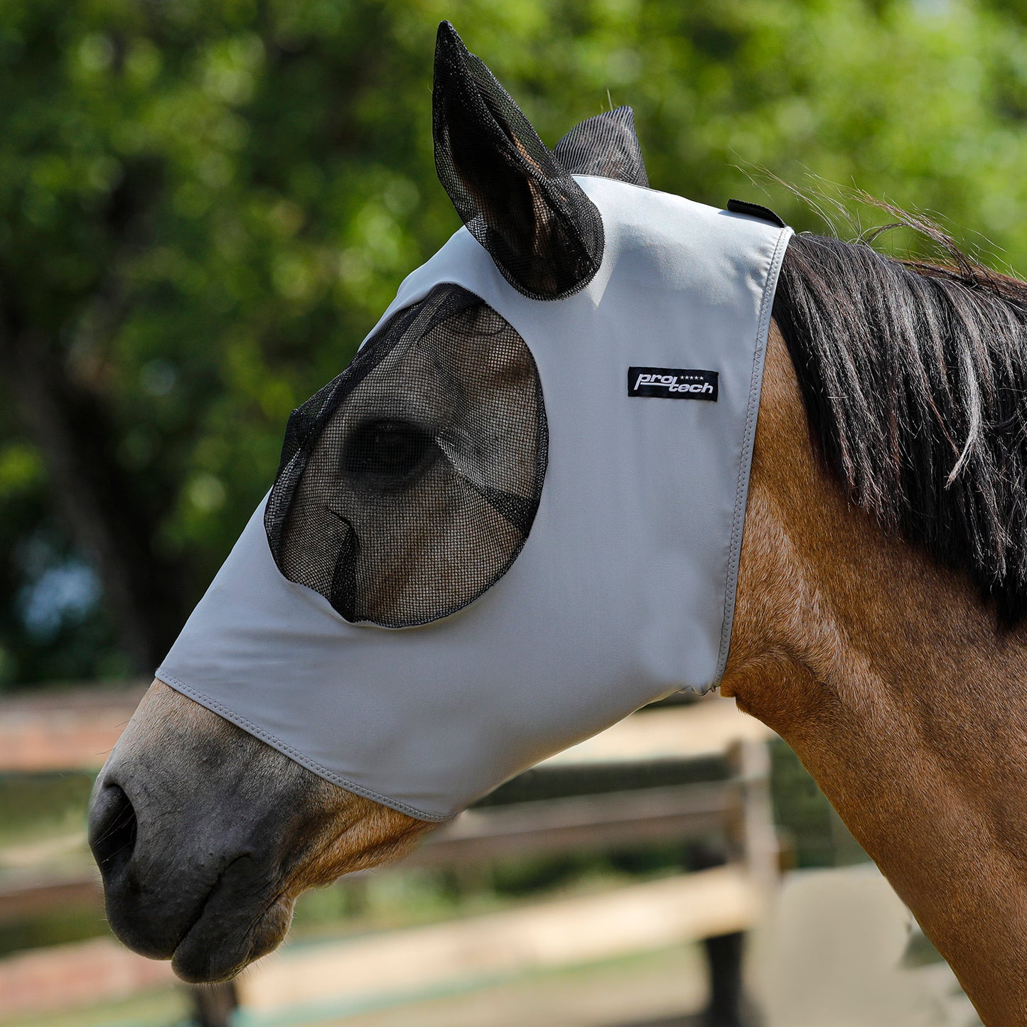 STRETCH LYCRA ANTI-FLY MASK