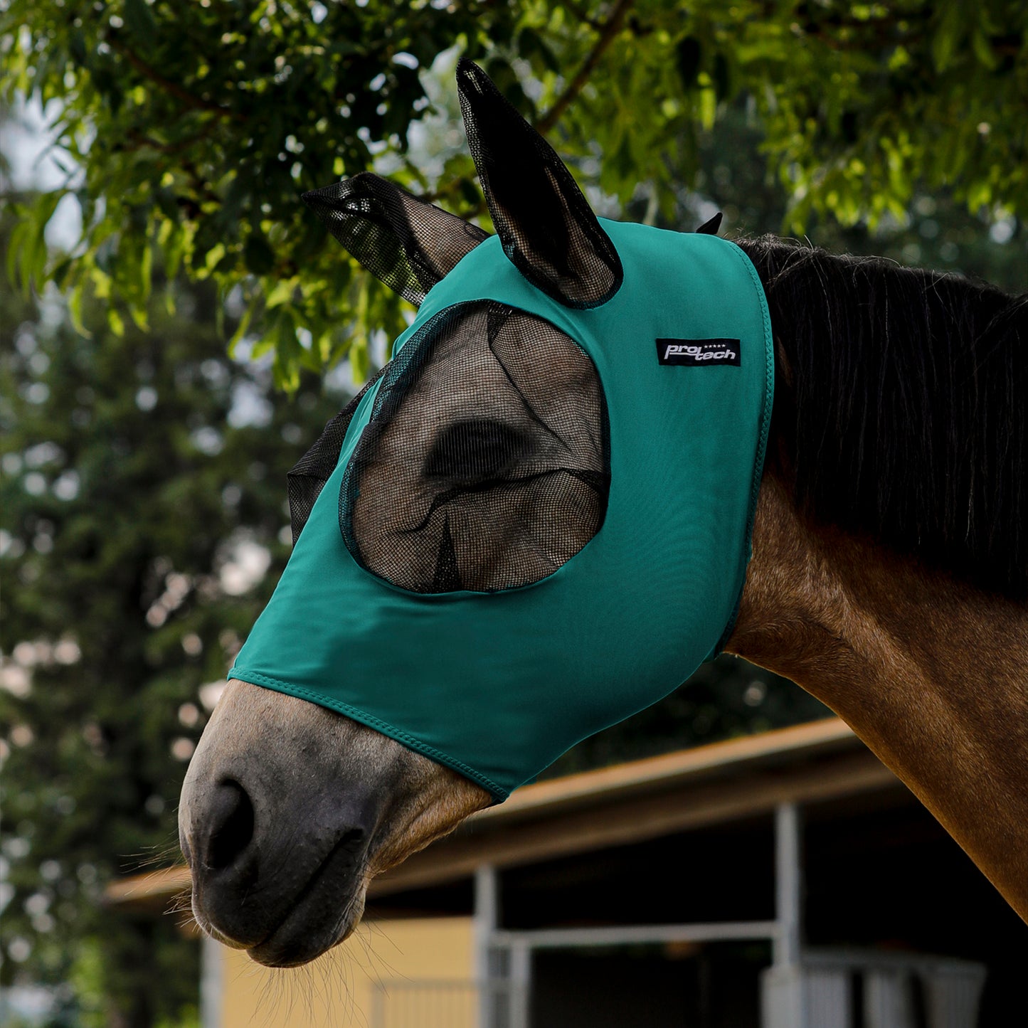 STRETCH LYCRA ANTI-FLY MASK