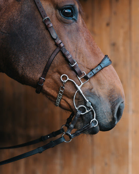 Fager Otto Hackamore Combination bit Medium shank