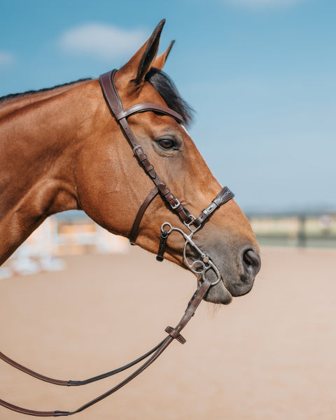 Fager Otto Hackamore Combination bit Medium shank