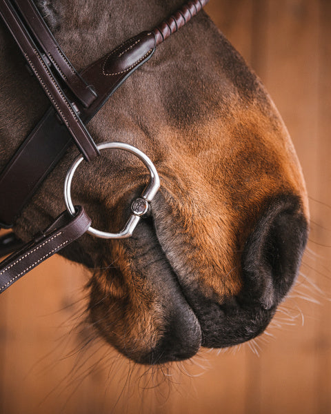 Fager Jimmy Fixed rings