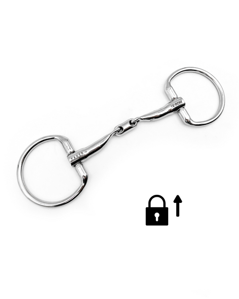 Fager Kevin Fixed rings