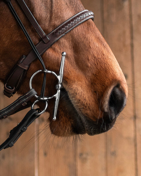 Fager John Sweet iron Fullcheek gag