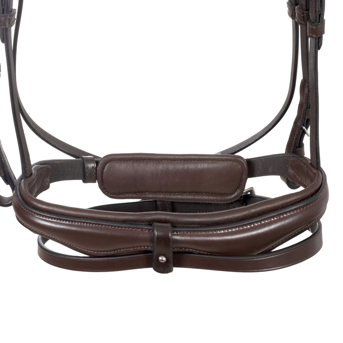 Equestro Cabezada Inglesa Con Muserola Anatómica